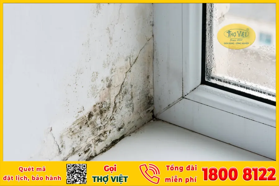 Chống thấm là bước quan trọng cho ngôi nhà, bất kể đó là công trình mới hay đã gặp phải sự cố về thấm dột.
