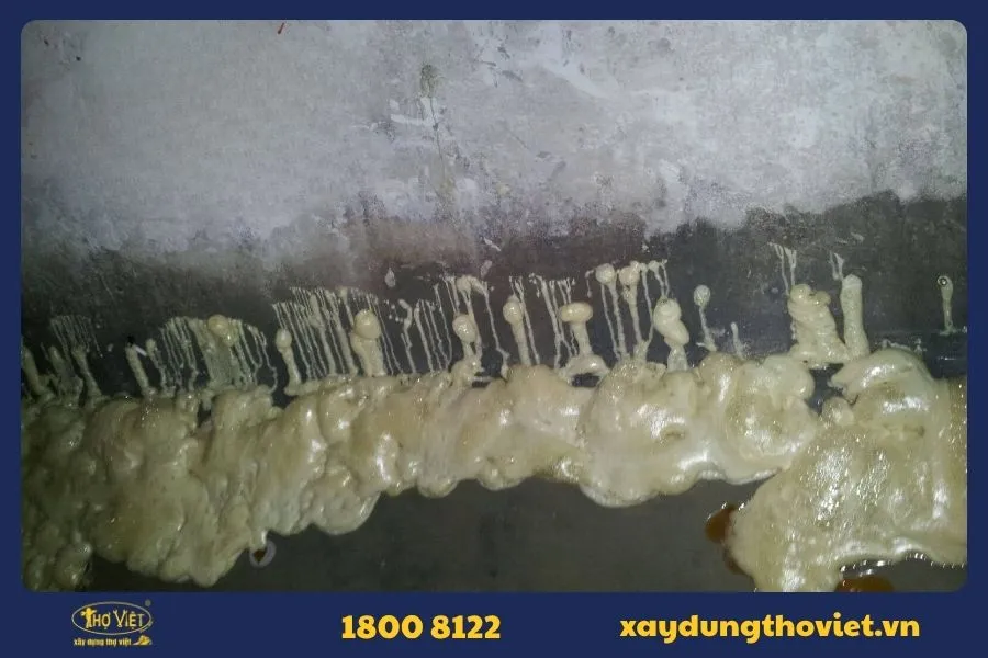 Quy trình chống thấm ngược tại Xây Dựng Thợ Việt