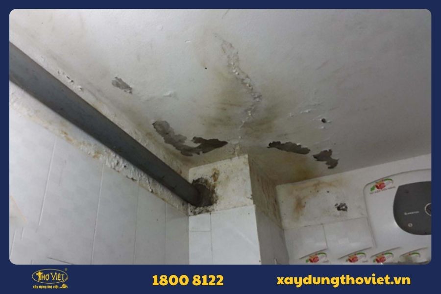 Nhà vệ sinh bị thấm xuống tầng dưới