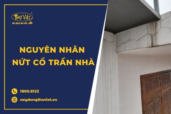 Nứt cổ trần là gì? Nguyên nhân và cách khắc phục