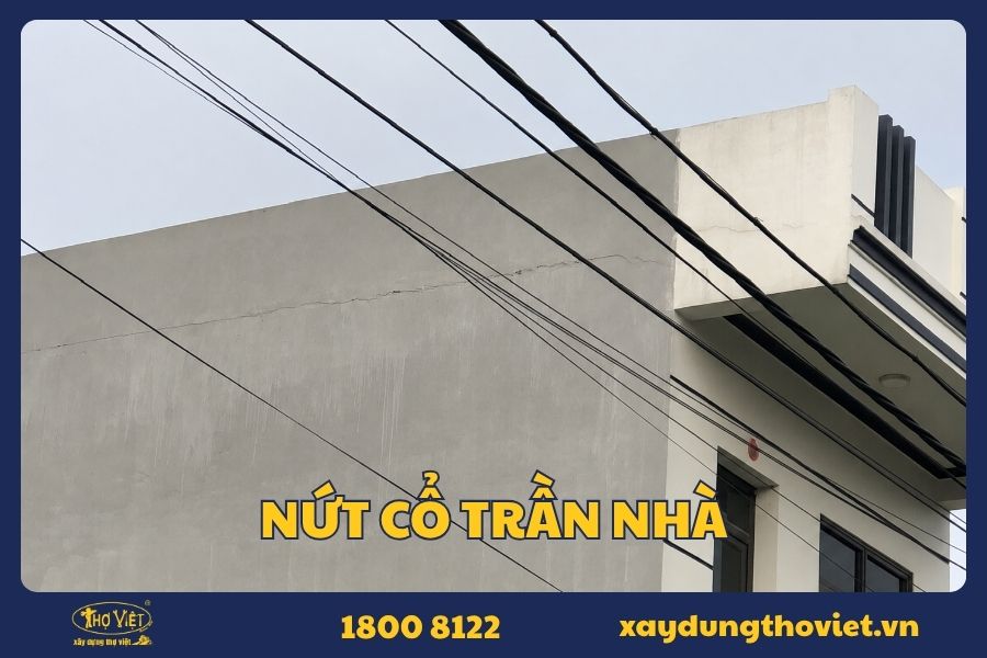 Nứt cổ trần nhà