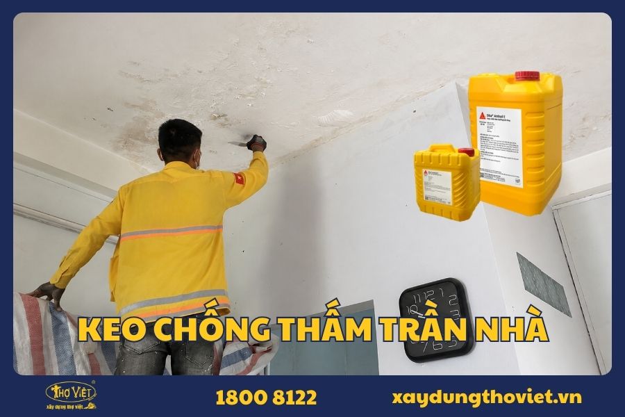 Những loại keo chống thấm cho trần nhà