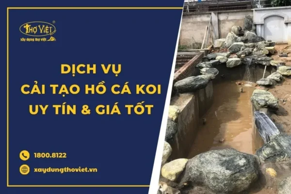 Dịch vụ cải tạo hồ cá koi uy tín tại TP.HCM