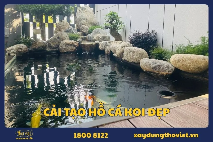 Bảng giá cải tạo hồ cá Koi mới nhất